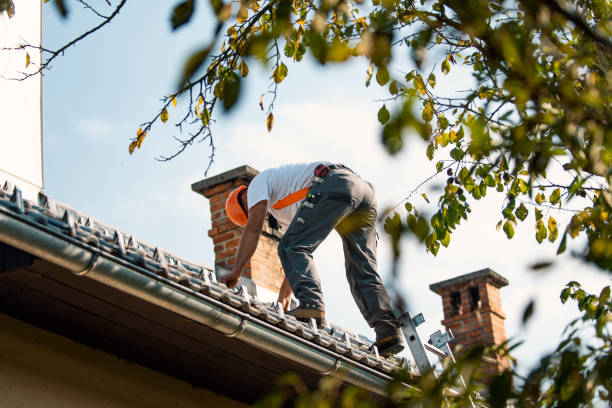 Best Cold Roofs  in Higganum, CT